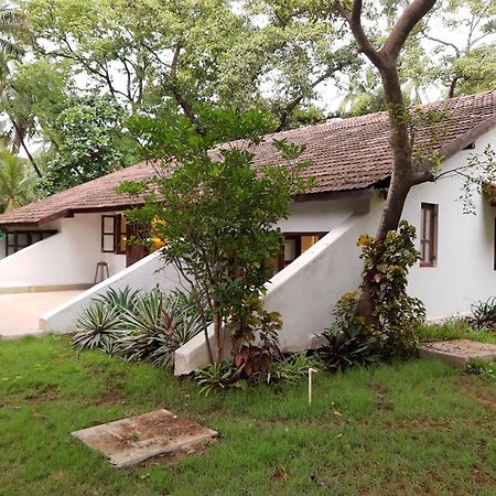 Banyan House - Luxurious 4 Bedroom Villa On One Acre, Near The Beach 纳加奥恩 外观 照片