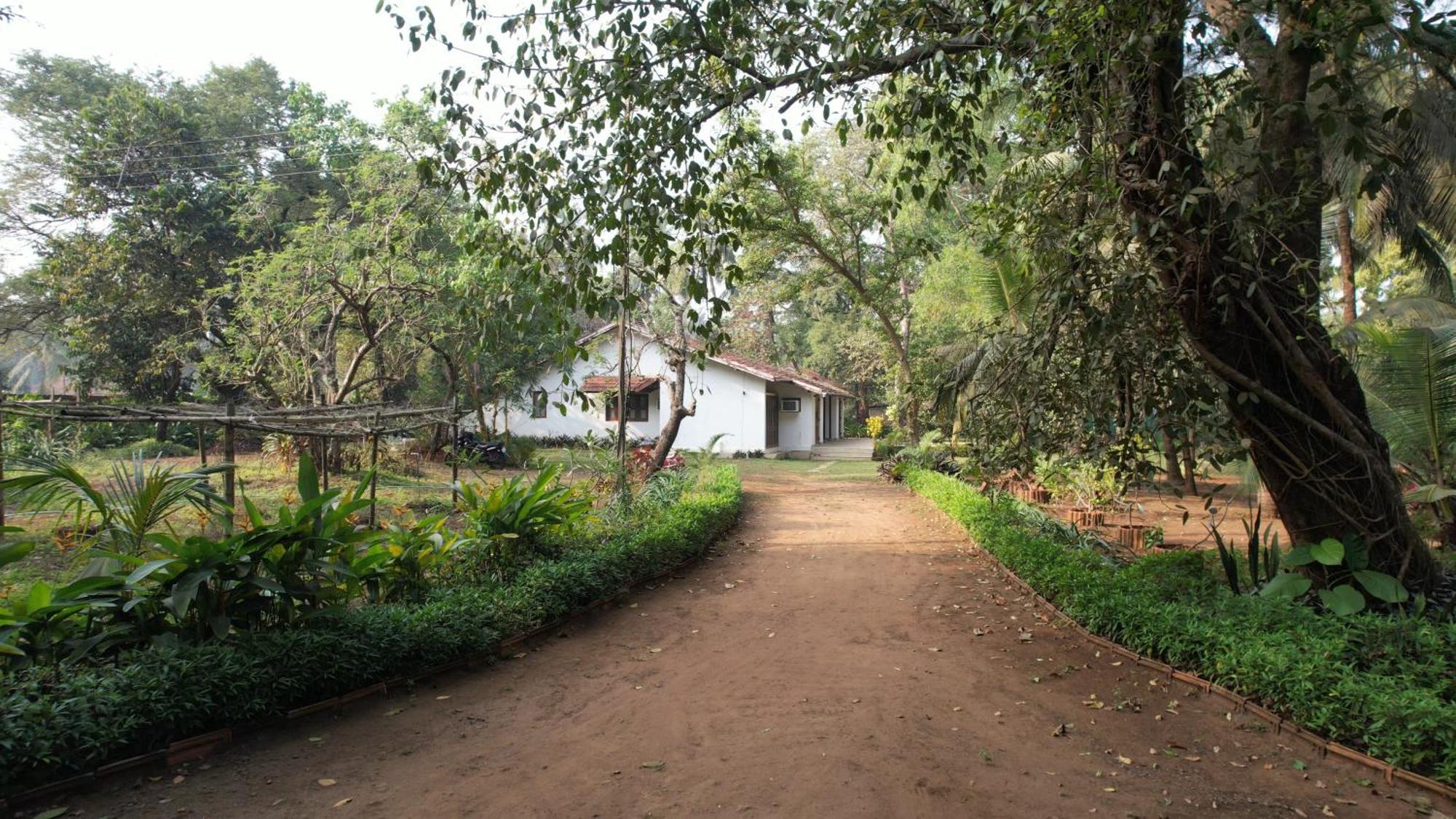 Banyan House - Luxurious 4 Bedroom Villa On One Acre, Near The Beach 纳加奥恩 外观 照片