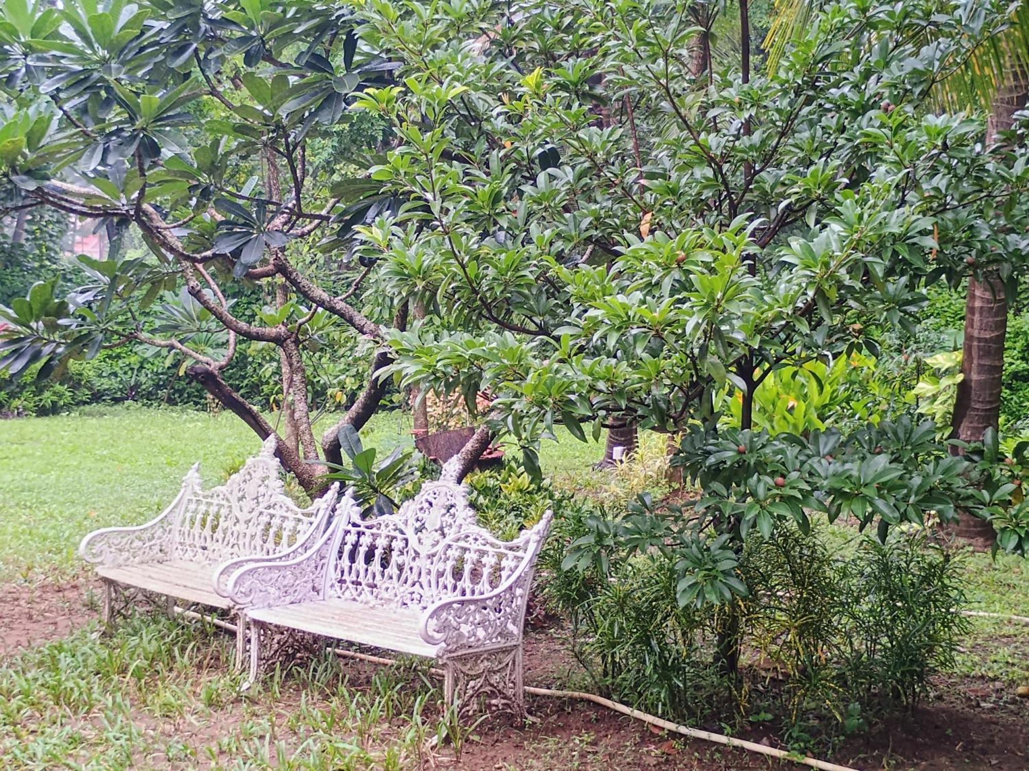 Banyan House - Luxurious 4 Bedroom Villa On One Acre, Near The Beach 纳加奥恩 外观 照片